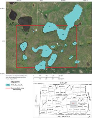 Temporal coherence patterns of prairie pothole wetlands indicate the importance of landscape linkages and wetland heterogeneity in maintaining biodiversity